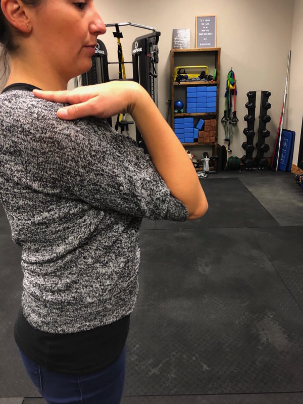 AROM Elbow Flexion & Extension Zen Physiotherapy